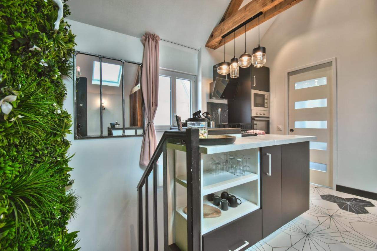 * Le Loft Des Mysteres * Apartment Maintenon Ngoại thất bức ảnh