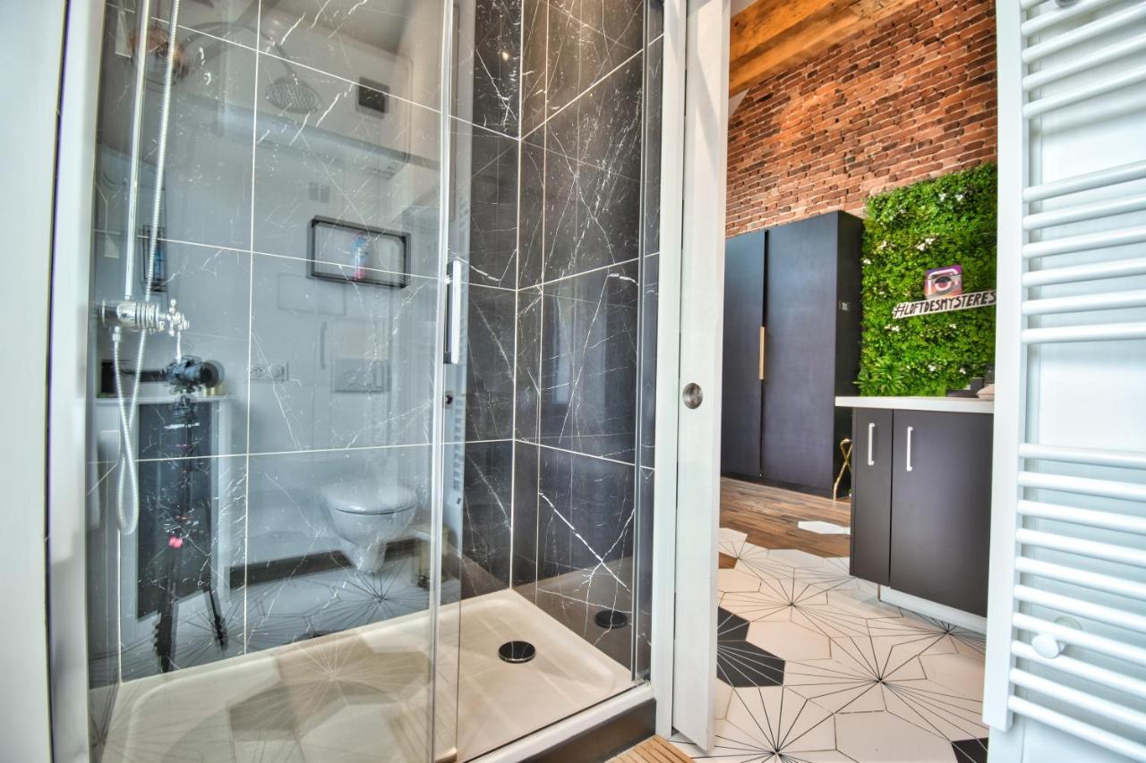 * Le Loft Des Mysteres * Apartment Maintenon Ngoại thất bức ảnh
