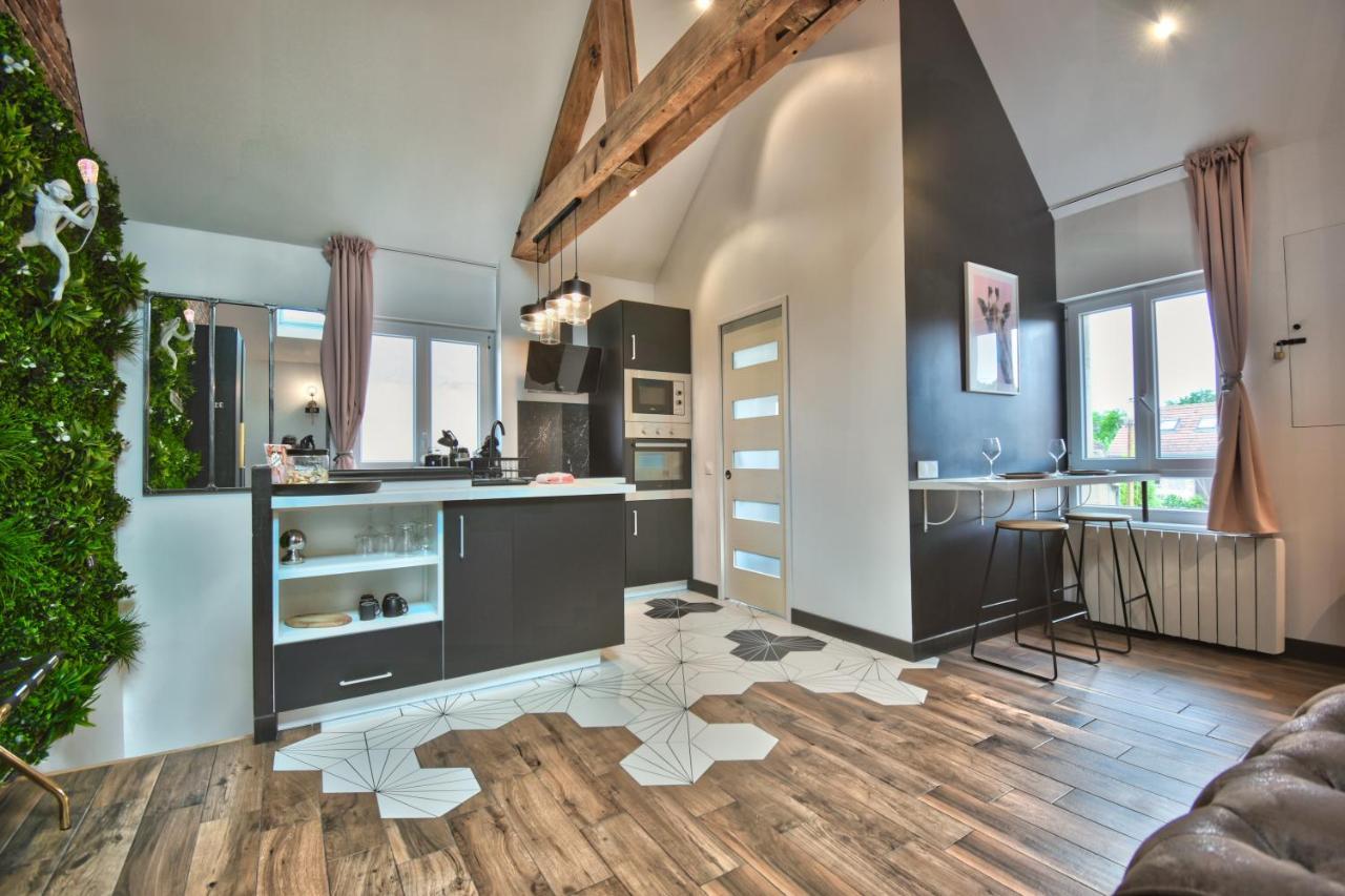* Le Loft Des Mysteres * Apartment Maintenon Ngoại thất bức ảnh