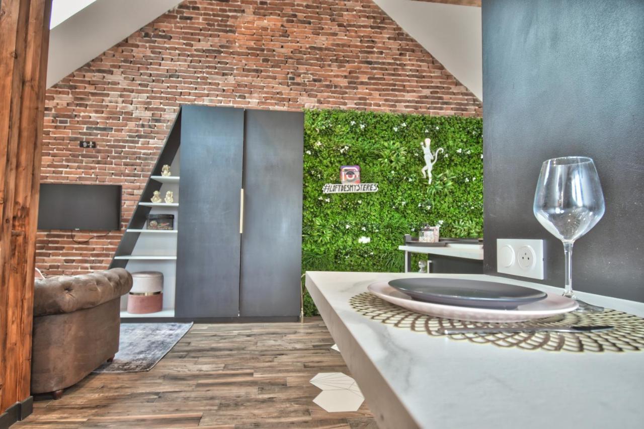 * Le Loft Des Mysteres * Apartment Maintenon Ngoại thất bức ảnh