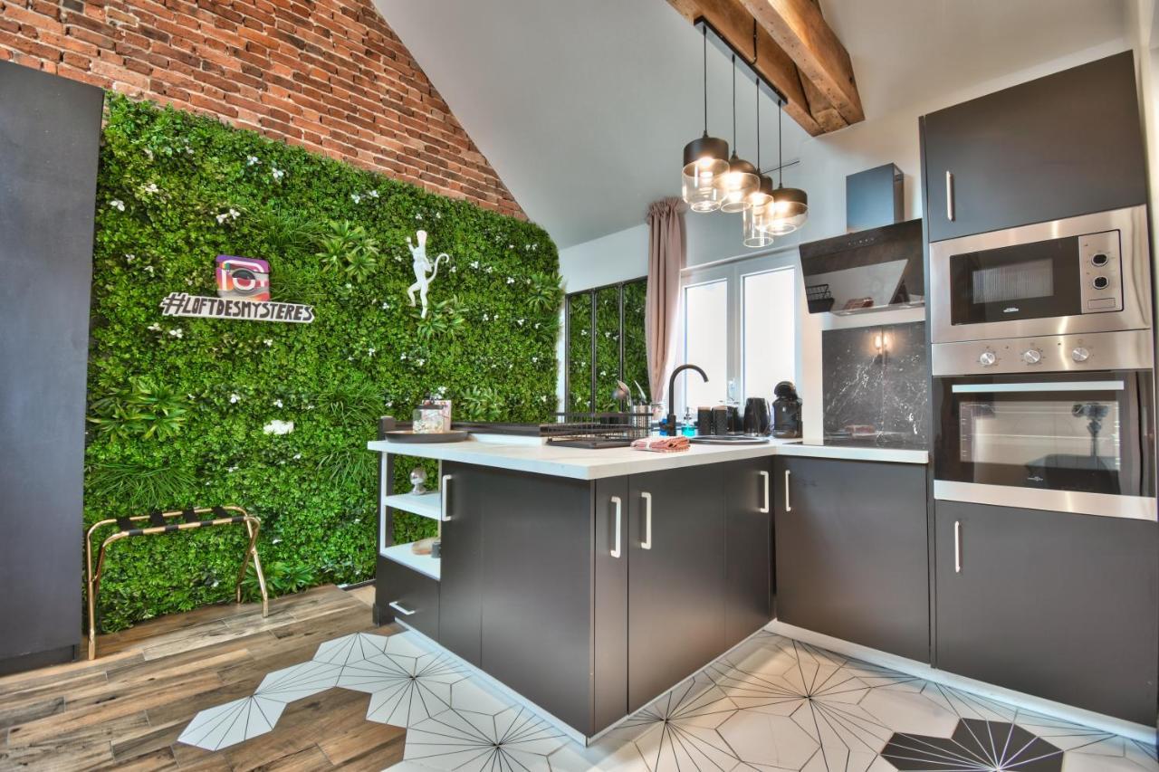 * Le Loft Des Mysteres * Apartment Maintenon Ngoại thất bức ảnh