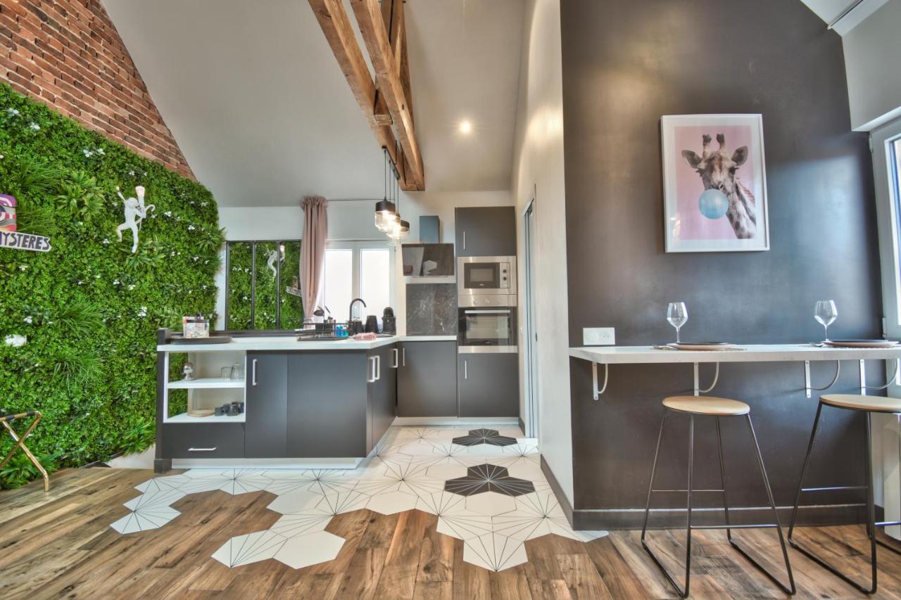 * Le Loft Des Mysteres * Apartment Maintenon Ngoại thất bức ảnh
